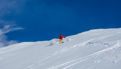 11freeride
